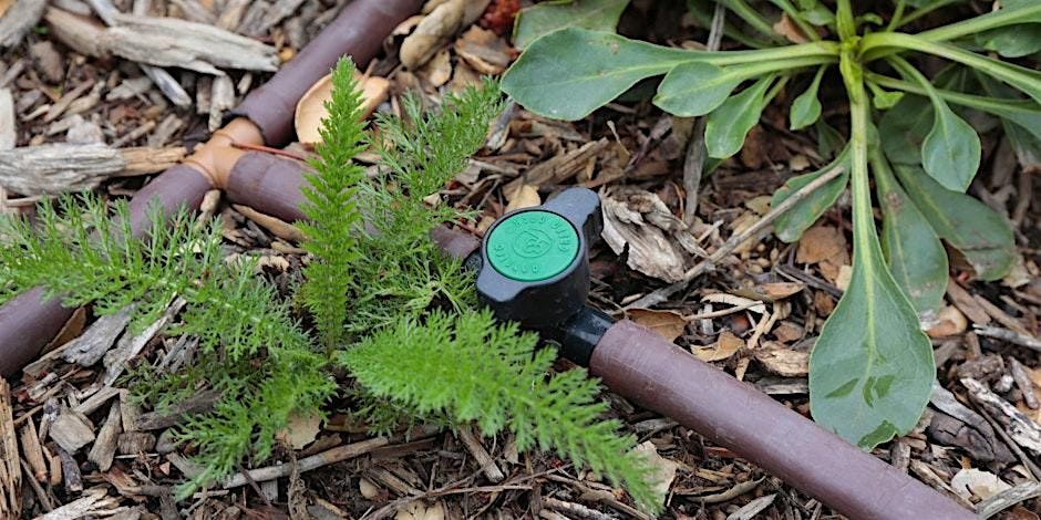 Irrigation Basics for Native Plants, a Walk and Talk with Erik Blank, 12 July | Event in Sun Valley | AllEvents