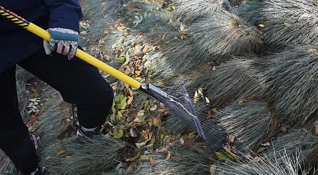Immersive Learning: Fall Landscaping, 11 October | Event in West Jordan | AllEvents