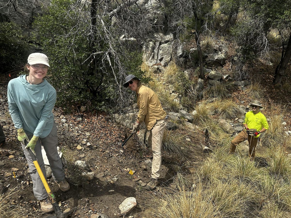 Bighorn Fire Erosion Control in the Catalinas (Oct 31-Nov 2), 31 October | Event in Mt Lemmon | AllEvents