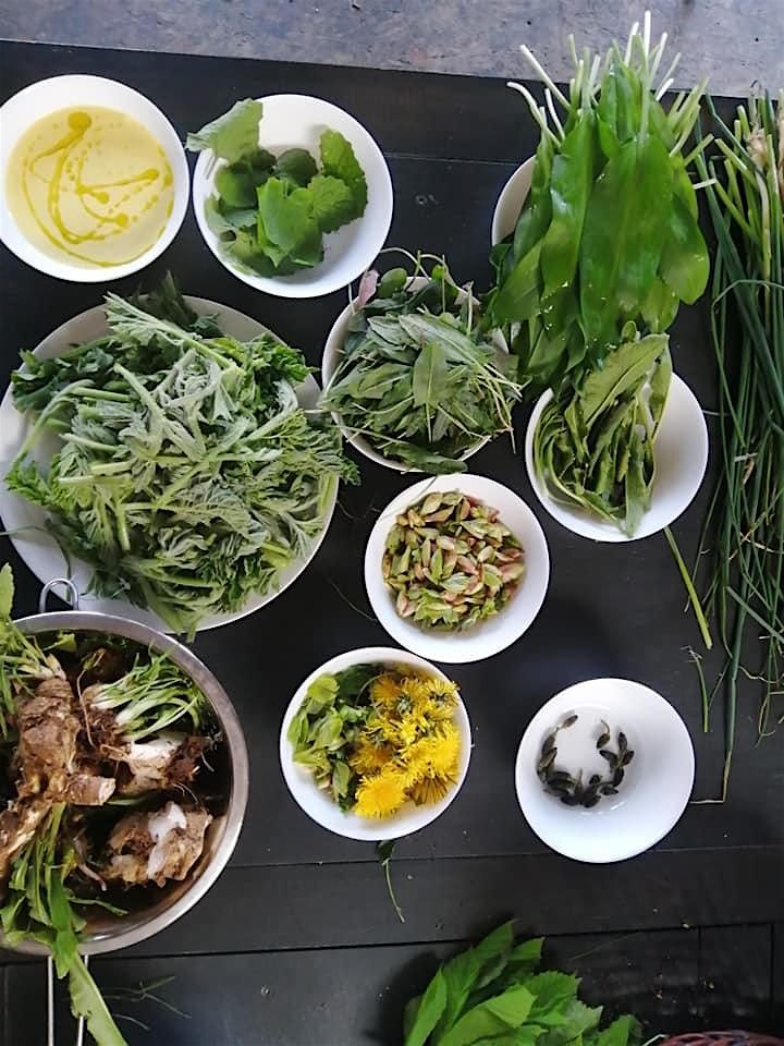 Spring Wild Food Forage Course, 8 March | Event in Lockleaze | AllEvents