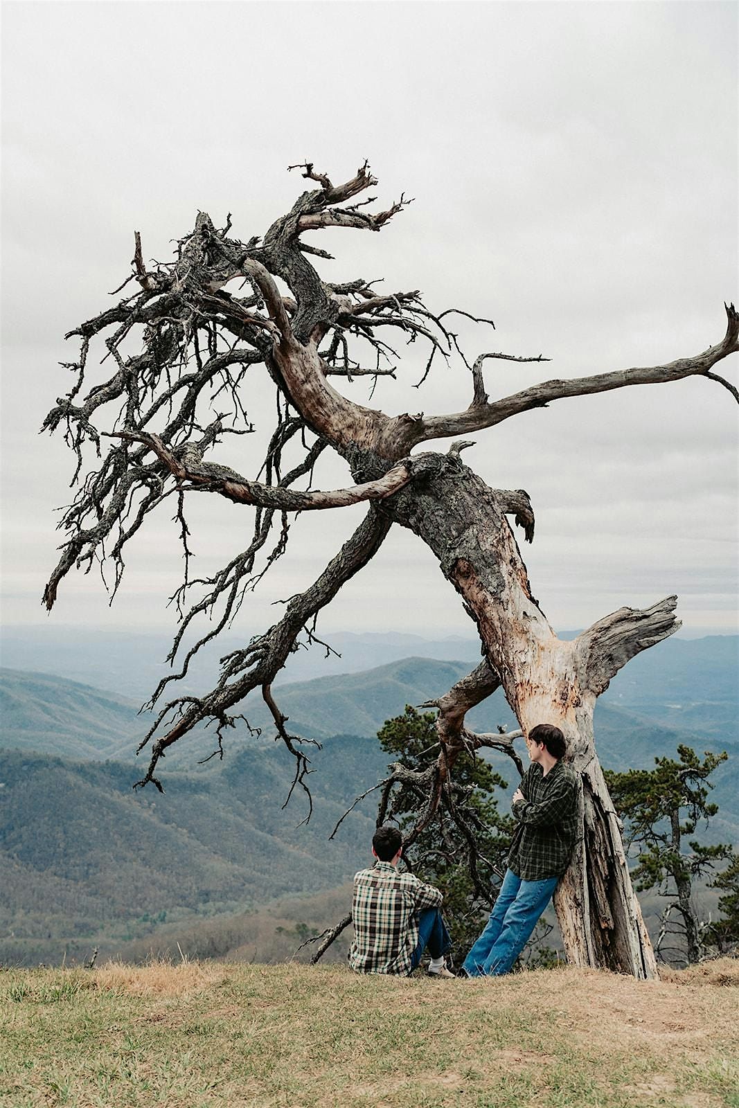 Mountain Minis, Blue Ridge Parkway, 4 October | Event in Old Fort | AllEvents