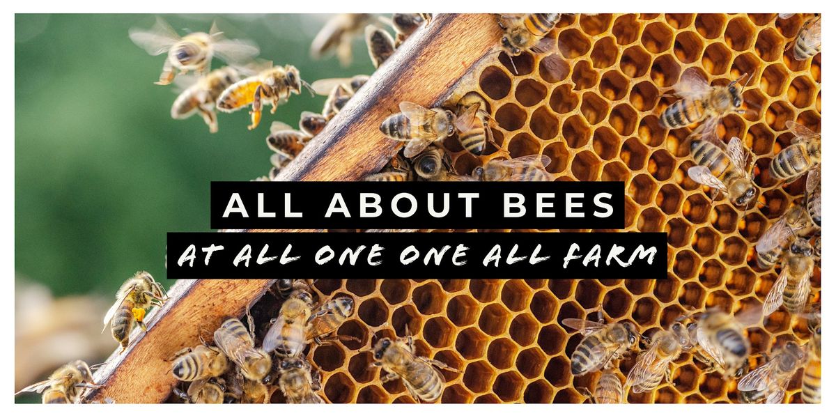 All About Bees, 2 August | Event in Goshen | AllEvents