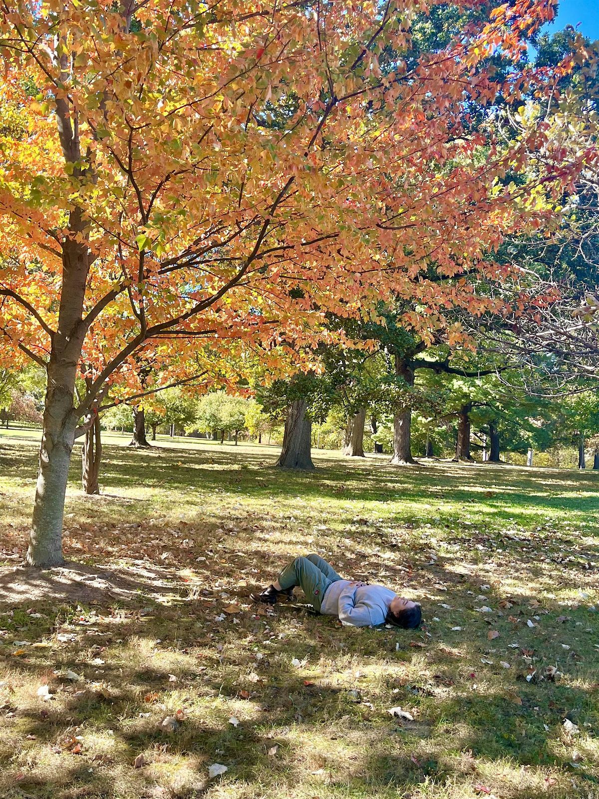 Mindfulness Program: Wanderings, 21 September | Event in St. Louis | AllEvents