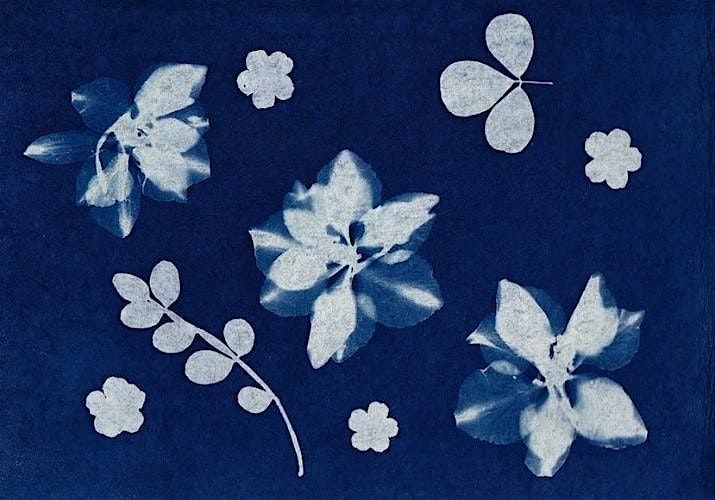 Sunprint Cyanotypes | Jake Willwerth, Instructor, 21 August | Event in Gloversville | AllEvents