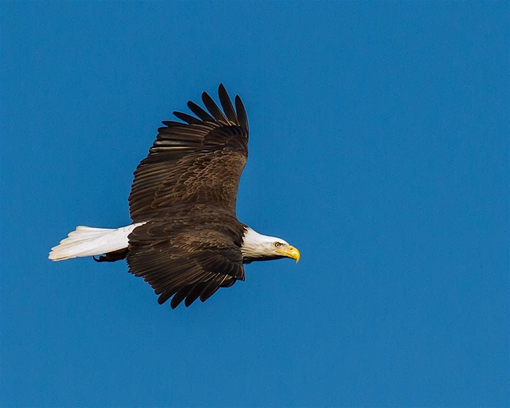 First Day Hike with the Saw Mill River Audubon Society