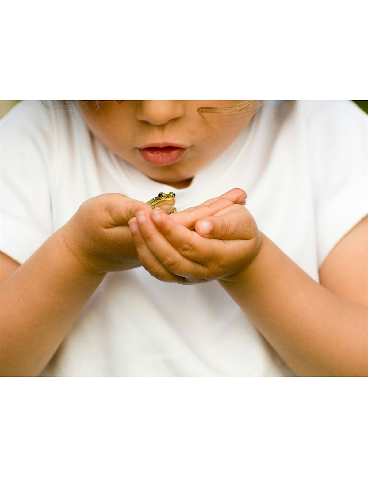 Frogs and Friends, Family Program, $4 per person upon arrival | Event in Smithtown | AllEvents