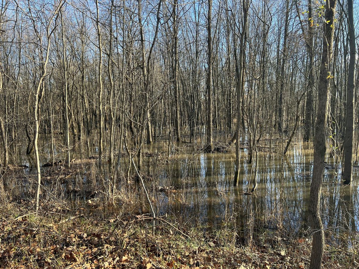 Clawson Preserve Workday, 28 June | Event in Hummelstown | AllEvents
