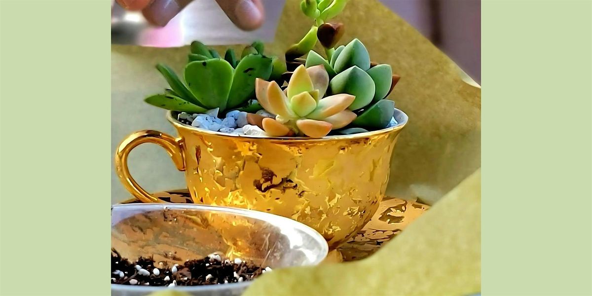 "Teacup Gardens: A Sip of Nature" at The Dragonfly Winery | Event in Canal Fulton, | AllEvents