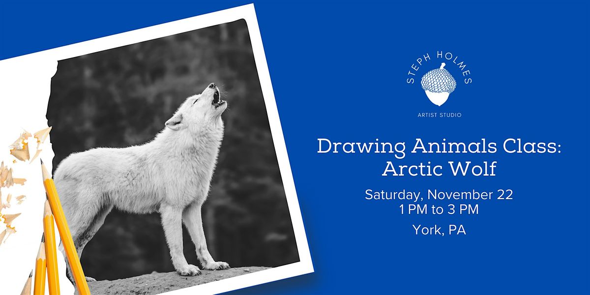 Drawing Animals Class: Arctic Wolf, 22 November | Event in York | AllEvents