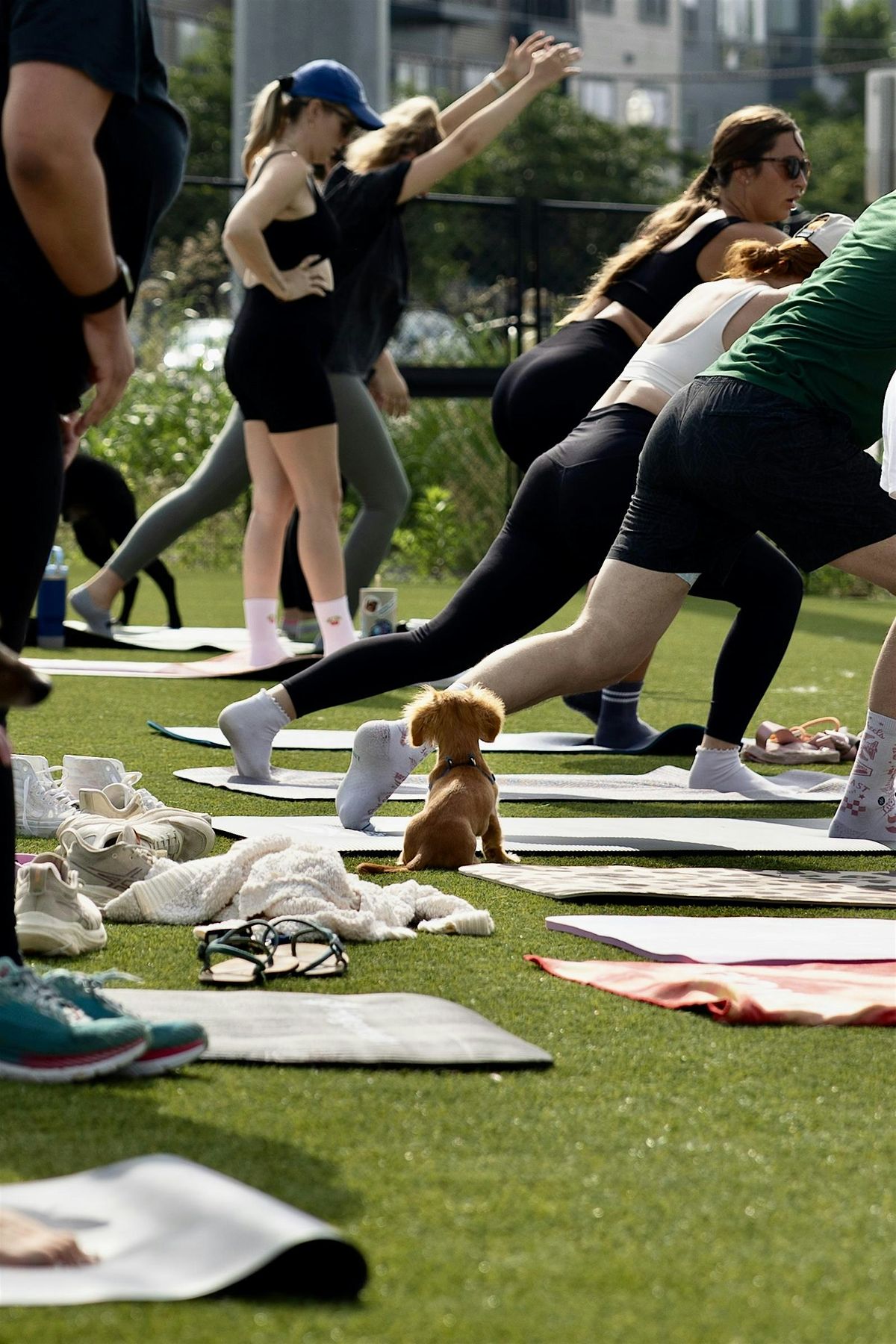 Pups & Pilates: Benefiting Wags & Walks, 20 August | Event in Nashville | AllEvents
