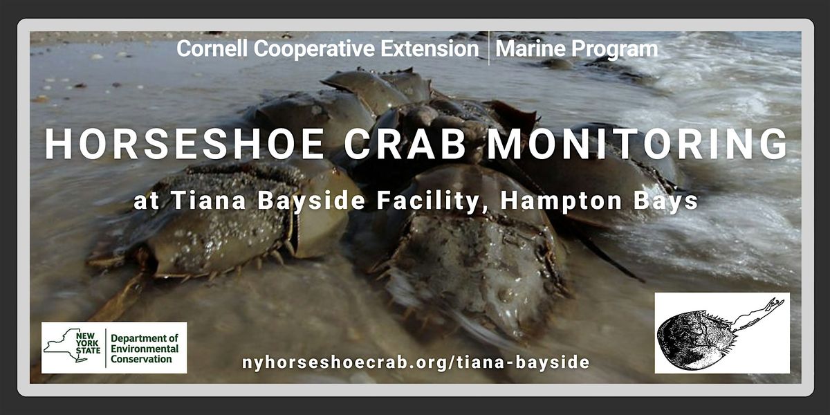 Horseshoe Crab Monitoring at Tiana Bayside, June 25, 25 June | Event in Hampton Bays | AllEvents