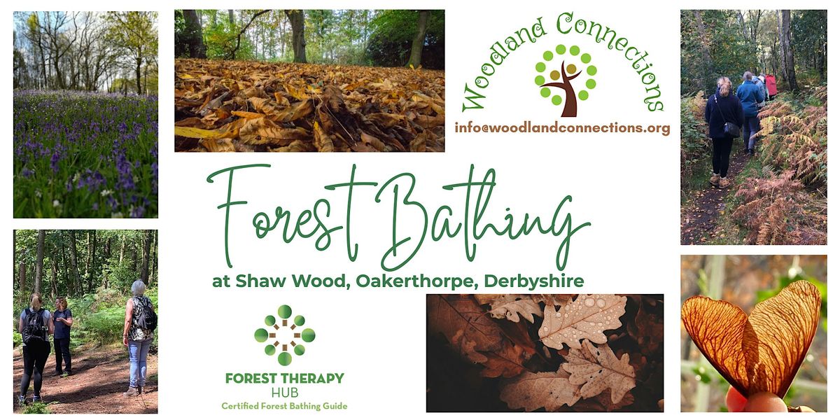 Forest Bathing in Shaw Wood, Oakerthorpe | Event in Oakerthorpe | AllEvents