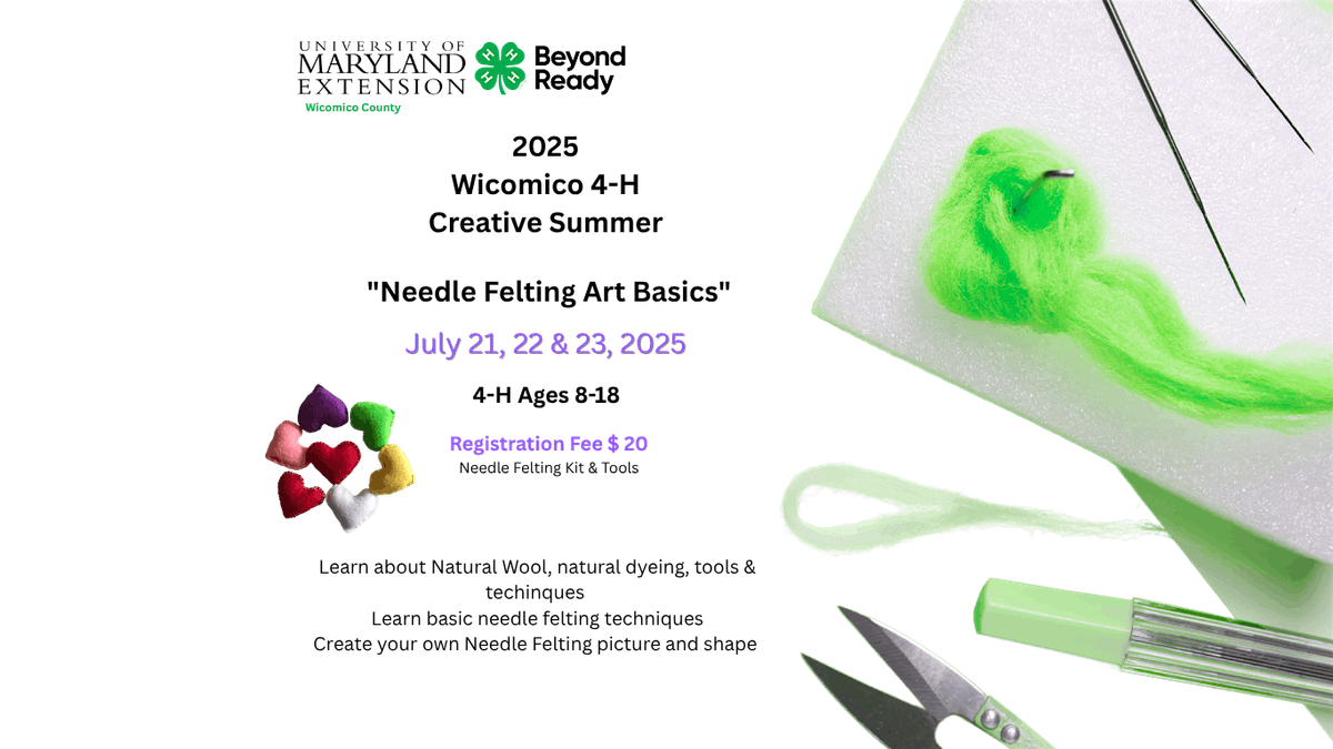 2025  Wicomico 4-H  Creative Summer   "Needle Felting Art Basics", 21 July | Event in Salisbury
