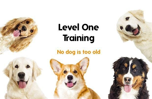 Level One Training, Sunday, Raheny (Leah), 24 August | Event in Raheny | AllEvents