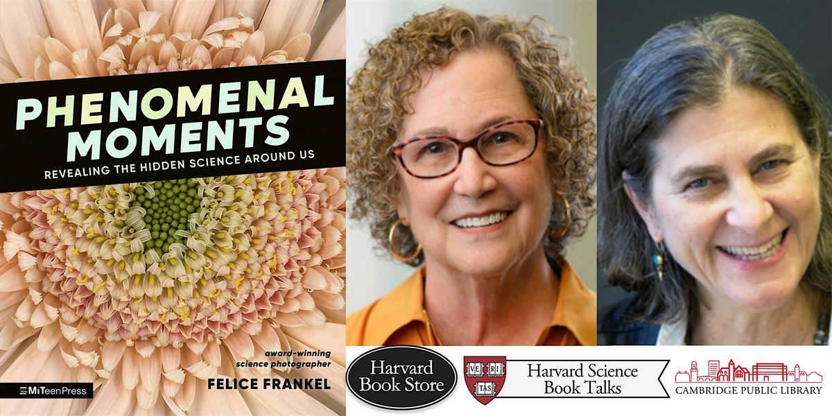 Felice Frankel at the Cambridge Public Library, 3 December | Event in Cambridge | AllEvents