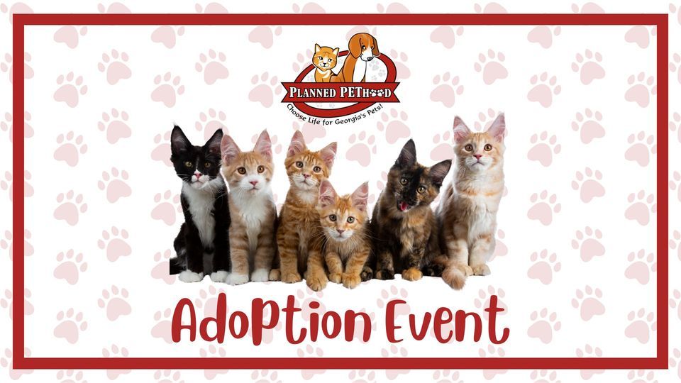 Pet Adoptions at PetSmart Lawrenceville, PetSmart (Lawrenceville, GA