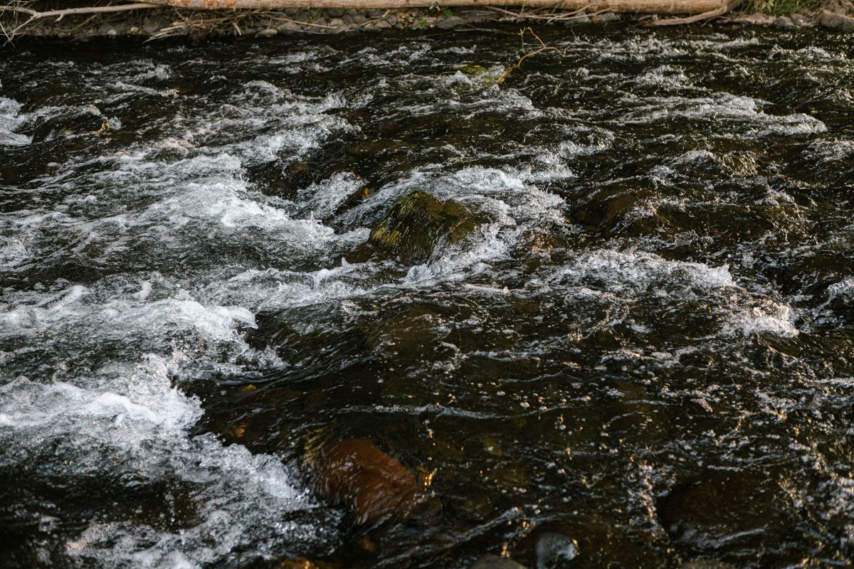 ˀImtwaha Fish Hatchery Tour on the South Fork Walla Walla River, 23 August | Event in Milton-Freewater | AllEvents