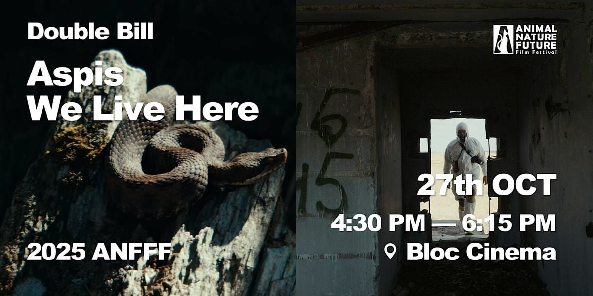 Double Bill: Aspis + We Live Here, 27 October | Event in London | AllEvents