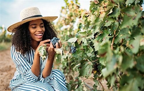 Sips & Sunshine: A Bougie Day in Wine Country, 30 May | Event in New York | AllEvents