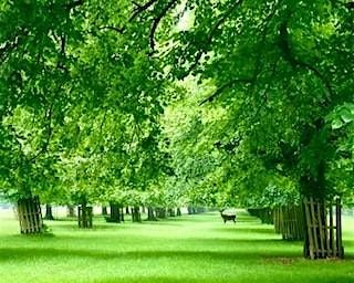 October 25th at 1pm -Introductory Walk of Bushy Park, 25 October | Event in Hampton | AllEvents
