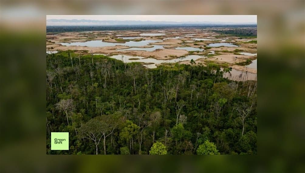 From Gold to Green: Skills for a Just  Transition in the Amazon region, 2 January | Event in Bruxelles | AllEvents