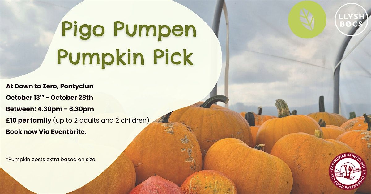 Pigo Pwmpen - Pumpkin Pick, 13 October | Event in Pontyclun | AllEvents