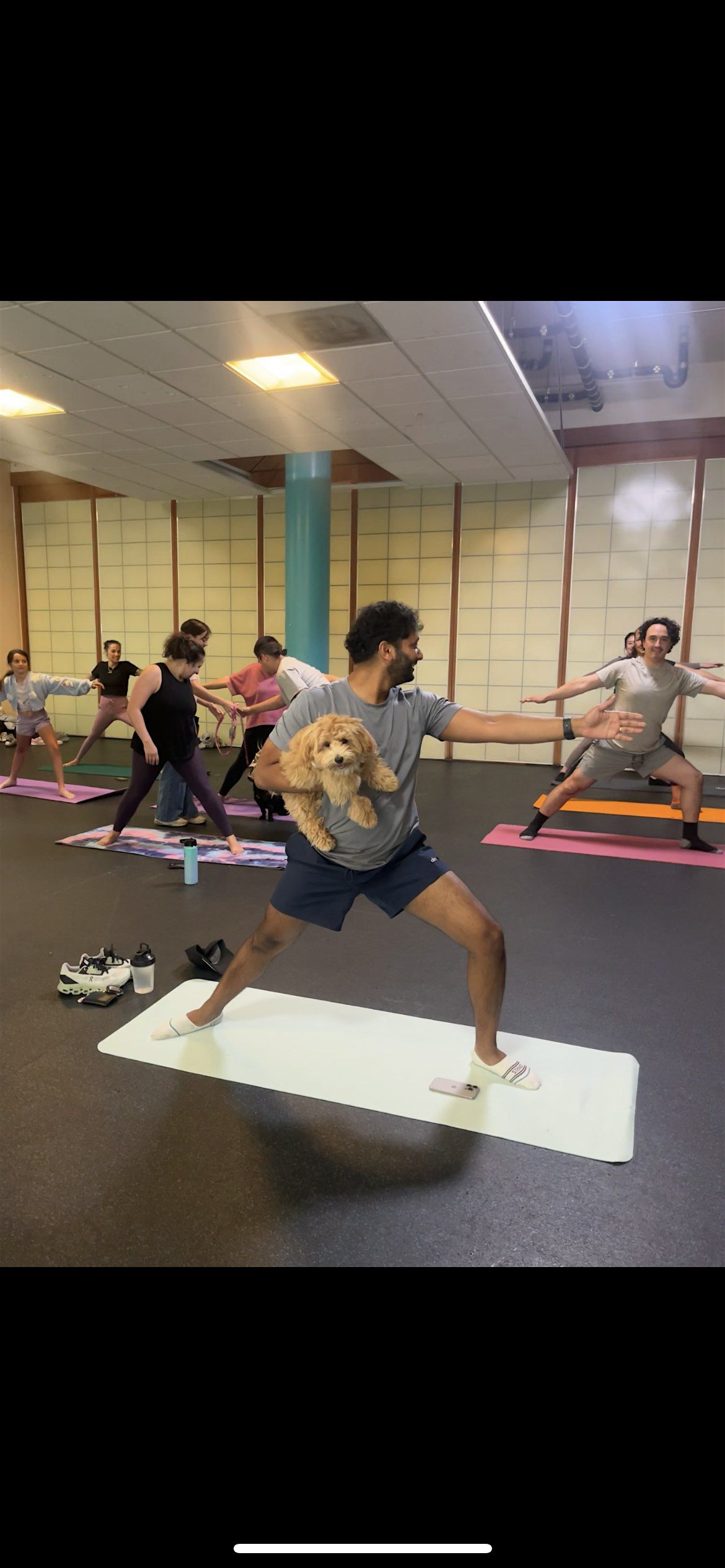 Primepaw x Flow & Flourish: Puppy Yoga, 2 November | Event in San Francisco | AllEvents