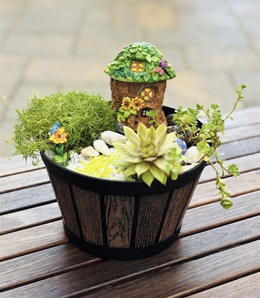 Fairy Terrarium, 17 August | Event in Cambridge | AllEvents