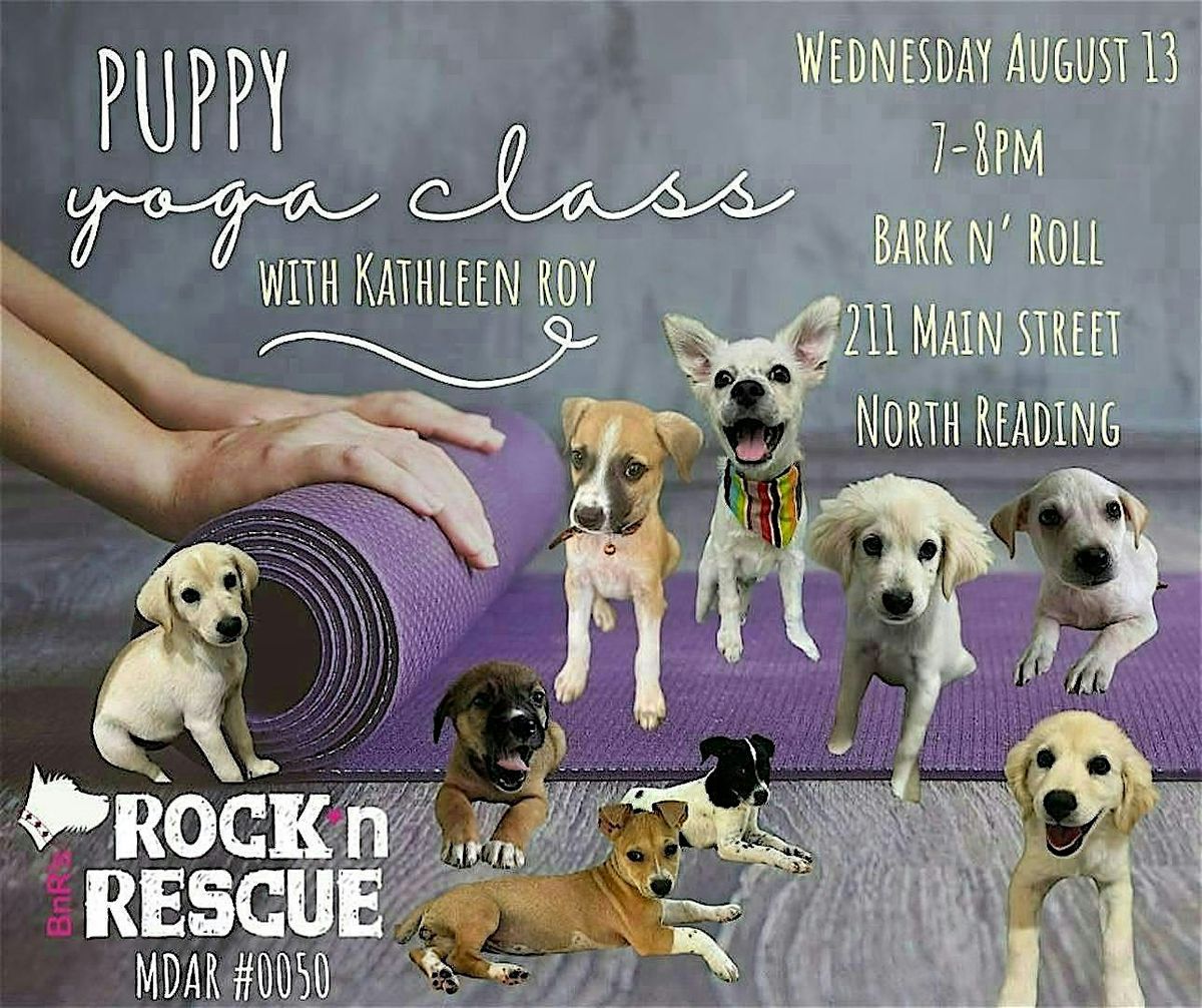 Puppy Yoga at Bark n' Roll!, 13 August | Event in North Reading | AllEvents