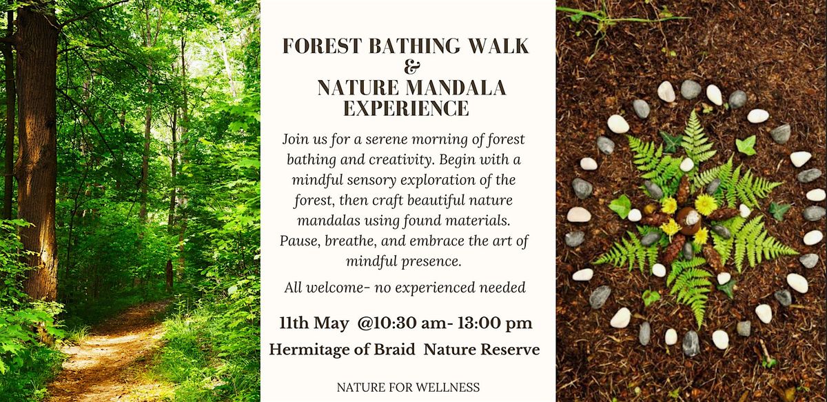 Forest Bathing Walk & Nature Mandala Experience | Event in Edinburgh | AllEvents