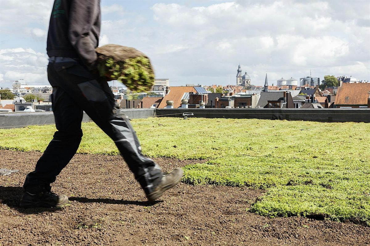 Sempergreen groendaktraining | 6 of 7 november 2025, 6 November | Event in Odijk | AllEvents