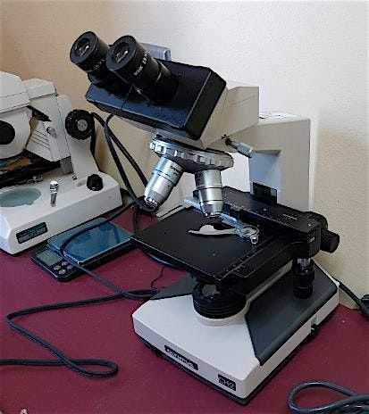 Fecal Egg Count & Soil Biology Microscope Lesson | Event in Callahan | AllEvents