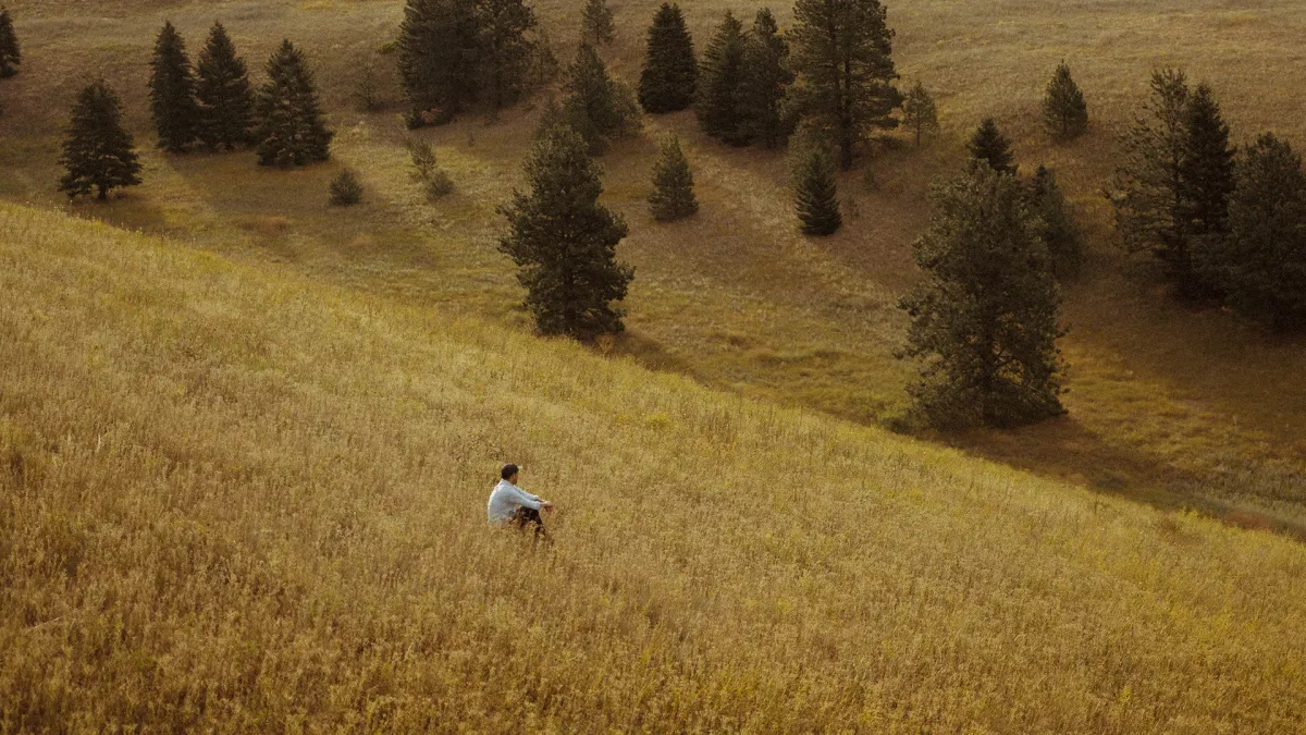 S. Carey in Evanston | Event in Evanston | AllEvents