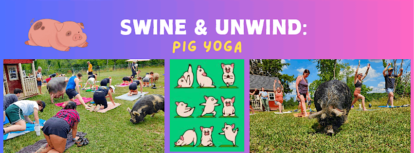 Swine and Unwind: Pig Yoga, 7 June | Event in Tarentum | AllEvents