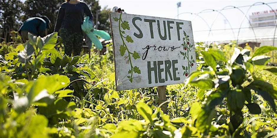 October Demonstration Garden FREE Tour, 15 October | Event in Ocala | AllEvents