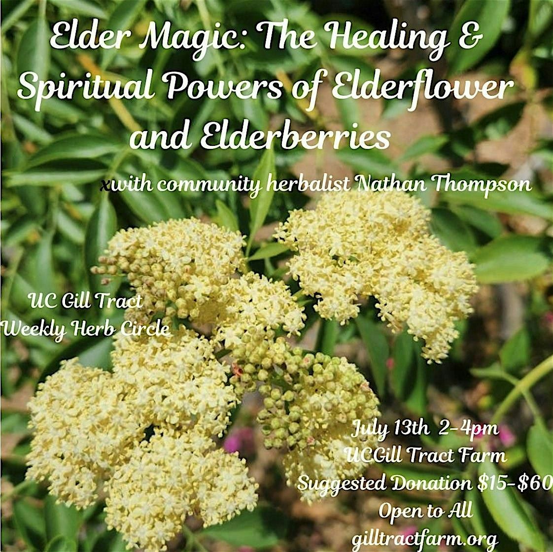 Elder Magic, 13 July | Event in Albany | AllEvents