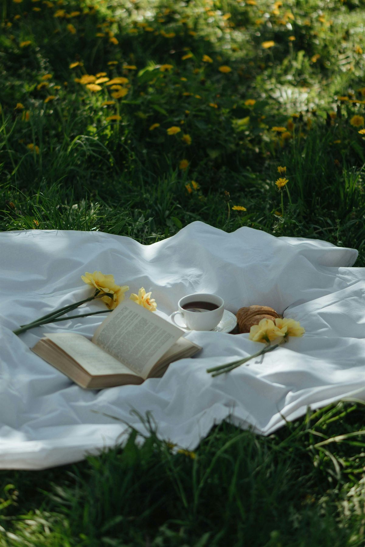 You Should Read @ Mission Bay: A Reading Social + Snacks Picnic, 26 June | Event in San Diego | AllEvents