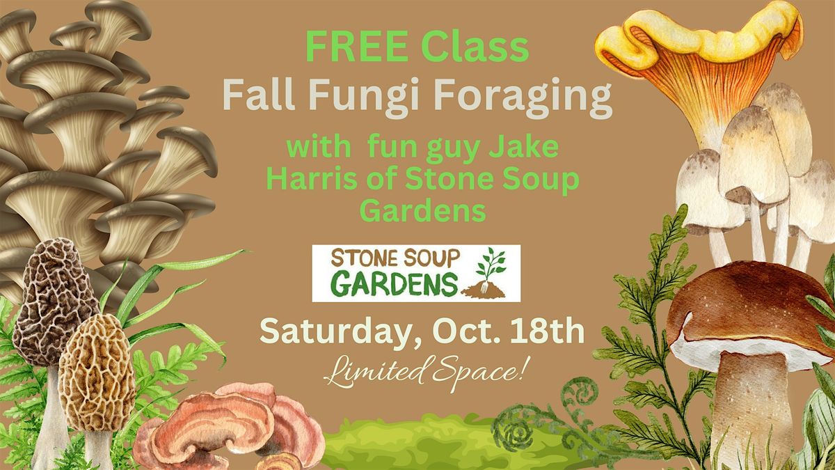 Free Class: Foraging Fall Fungi with Jake Harris, 18 October | Event in Burien | AllEvents