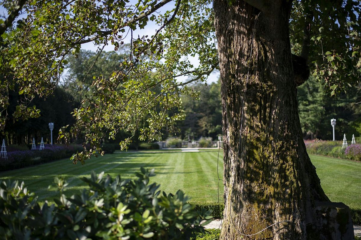 Walk & Sketch: Exploring the Shapes & History of Trees at Nemours Estate, 6 September | Event in Wilmington