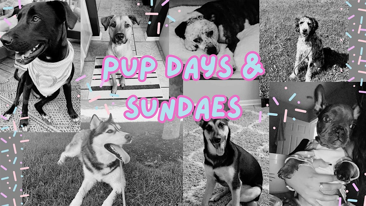Pup Days & Sundaes | Event in Wheaton | AllEvents