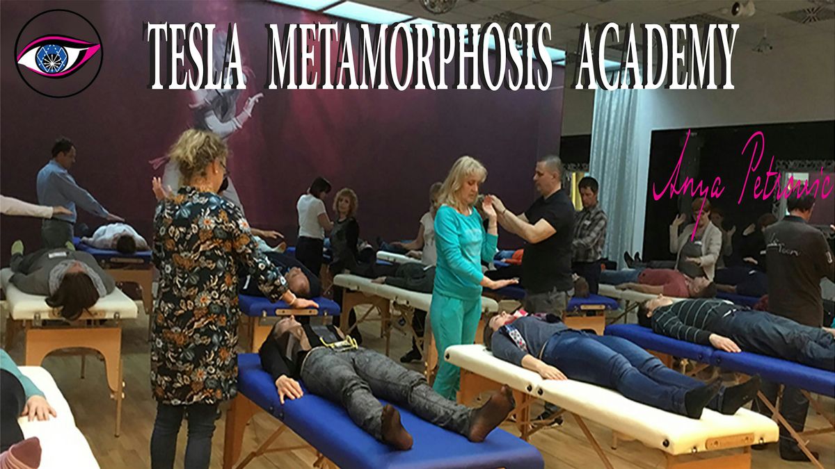 TESLA METAMORPHOSIS SEMINAR, 8 August | Event in Crows Nest | AllEvents