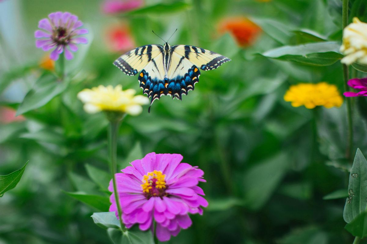 Season of You:  A Summer Solstice Retreat for Women, 21 June | Event in Oxford | AllEvents