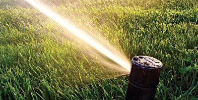 Green Industries - Best Management Practice (GI-BMP) in Spanish, 27 August | Event in Naples | AllEvents