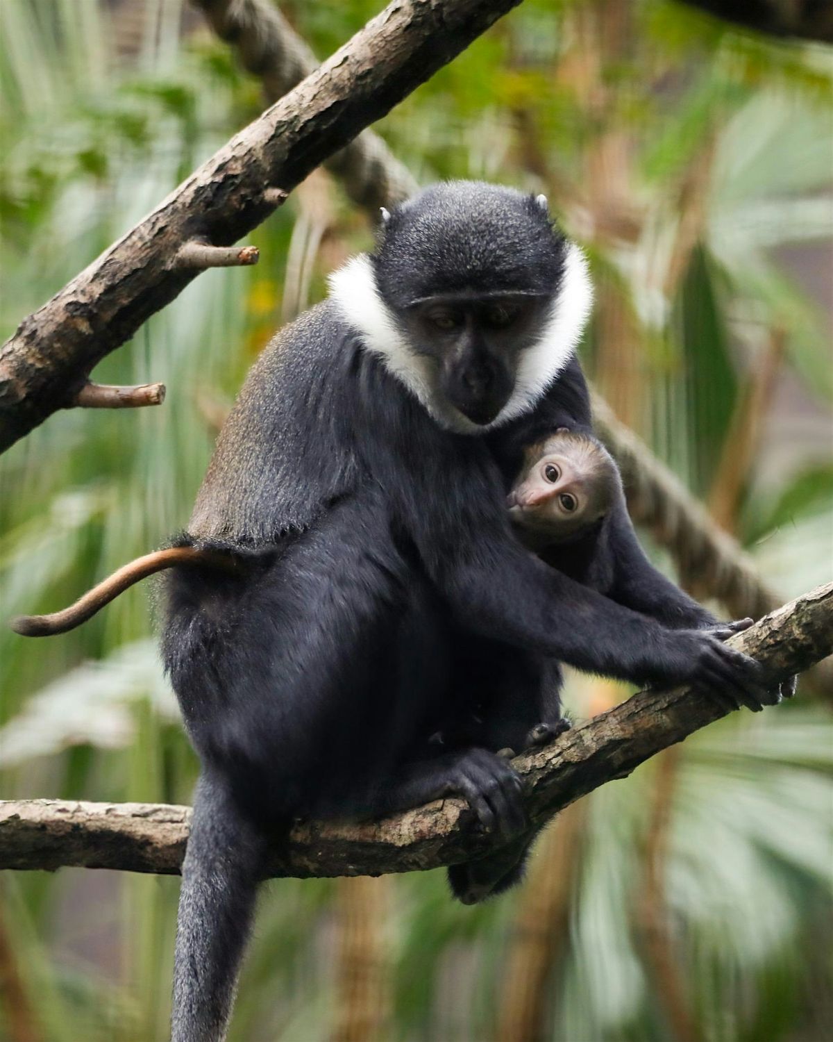 New Parent Social Friday Morning, 30 January | Event in Edinburgh | AllEvents