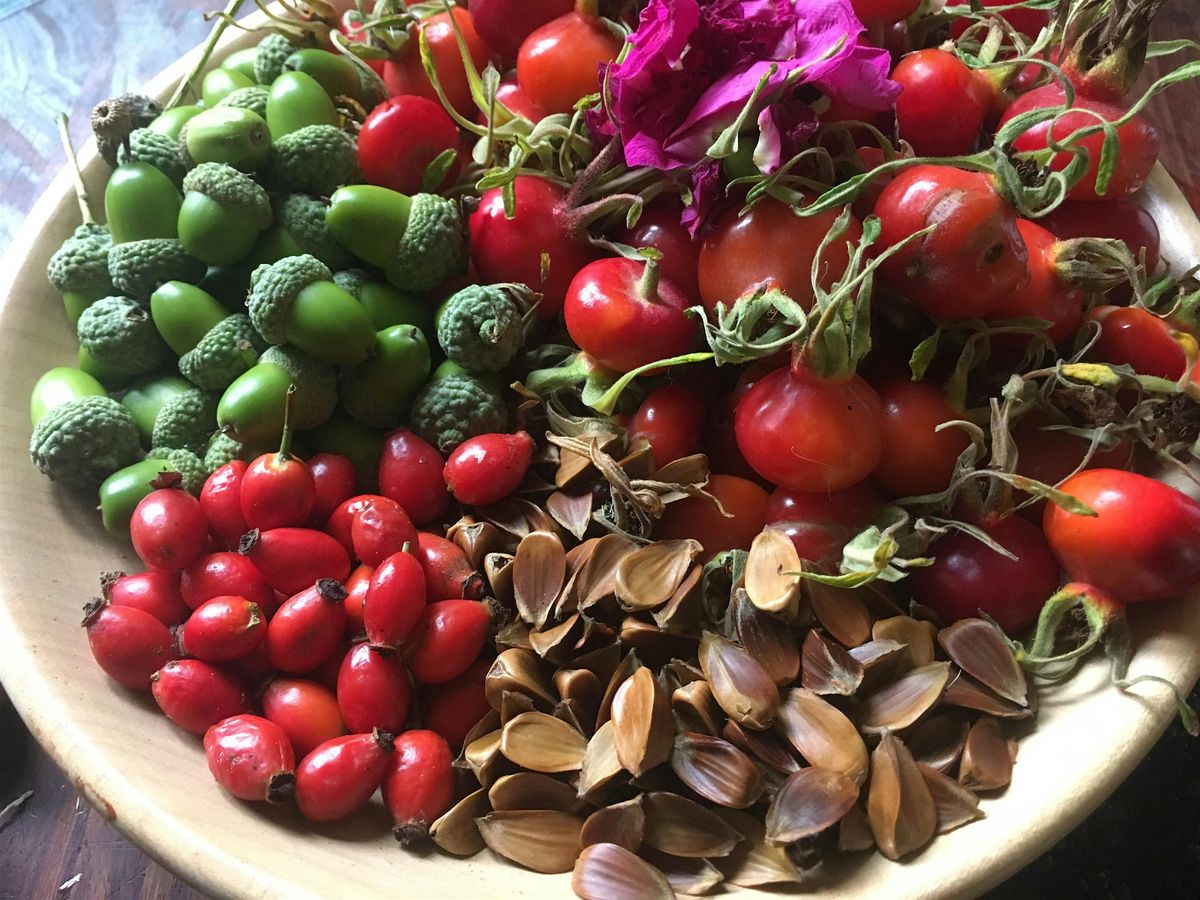 Acorns!, 12 October | Event in Edinburgh | AllEvents