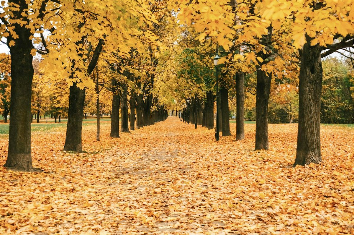 Take Your Best Travel Photographs Yet! with Autumn Carolynn, 11 September | Event in Minneapolis | AllEvents