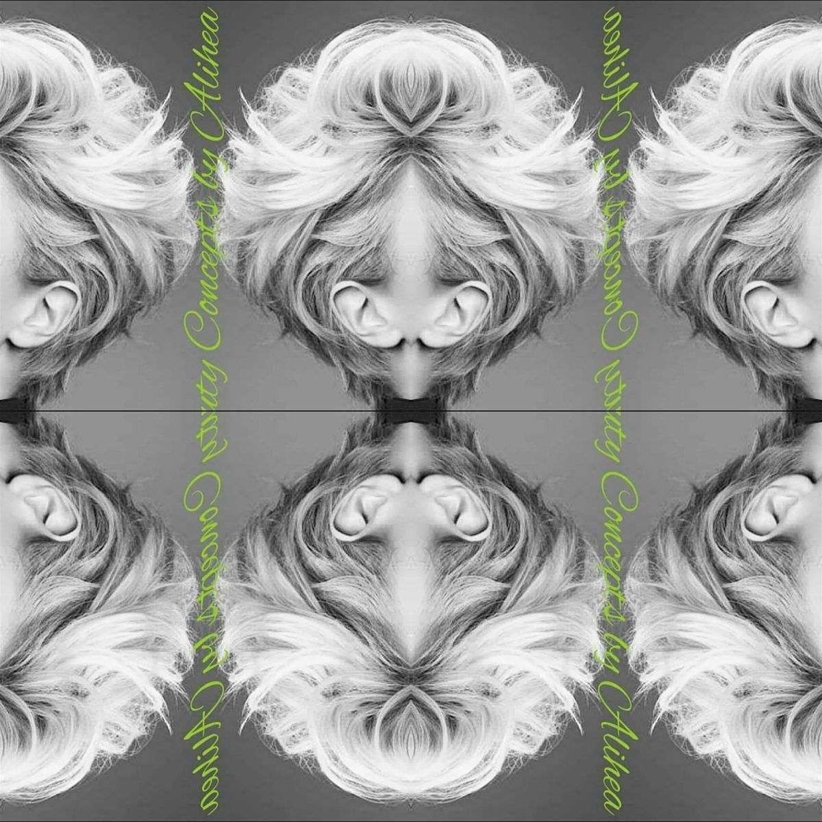 Cutting Edge Precision Cutting Handson Class, Shear Excellence Hair