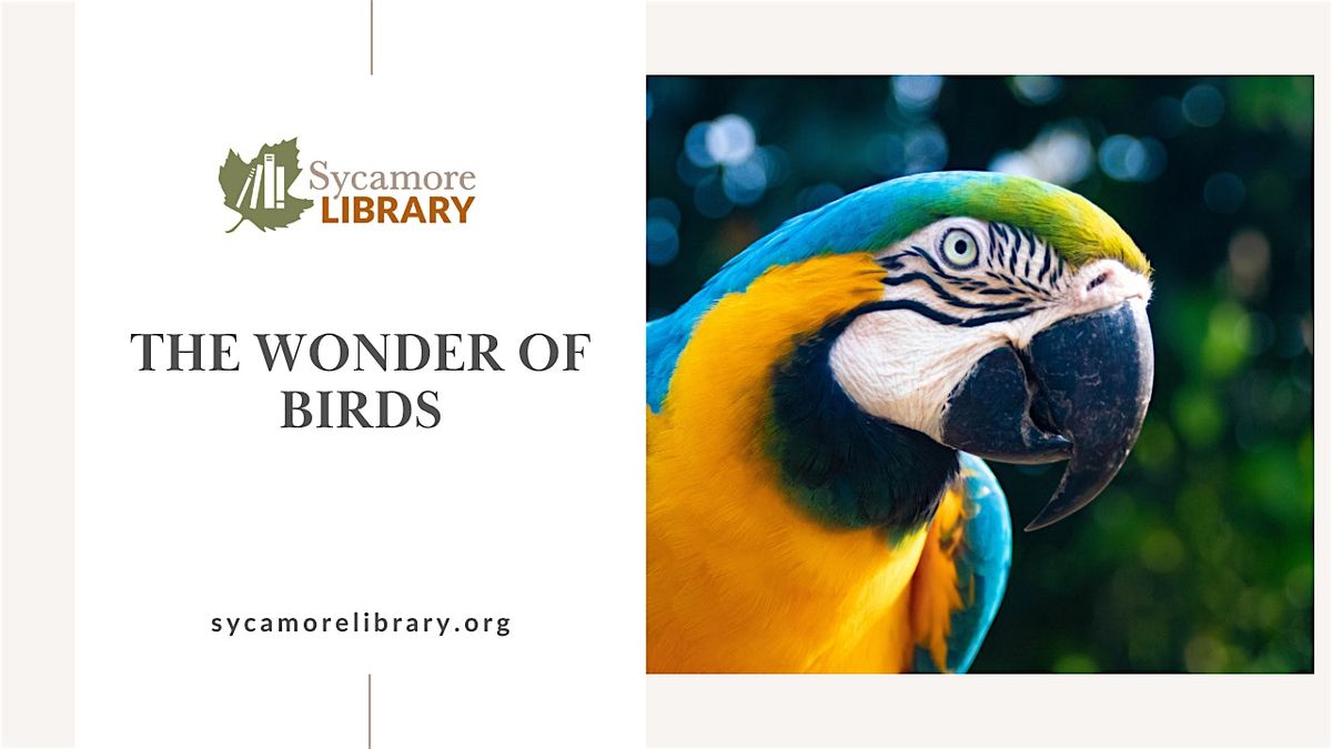 The Wonder of Birds, 16 August | Event in Sycamore | AllEvents