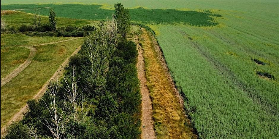 Shelterbelt Workshop, 22 January | Event in Morinville | AllEvents