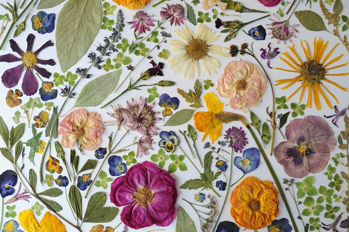 Impress Me: A Pressed Flower Art Workshop by Wildly Impressed, 16 August | Event in Gig Harbor | AllEvents